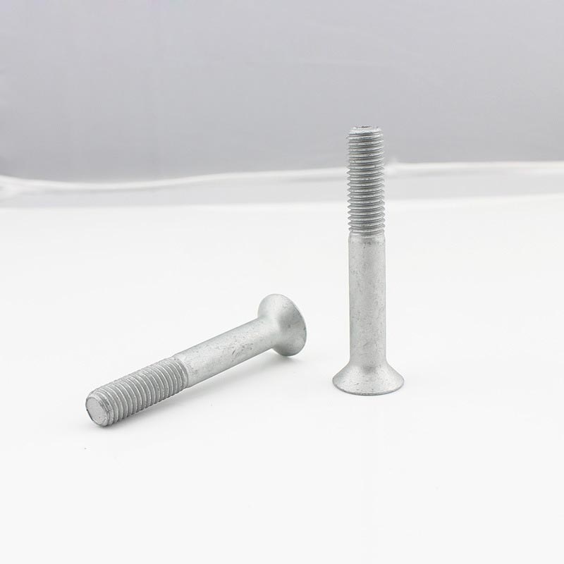 80 ° counterunk head bolts