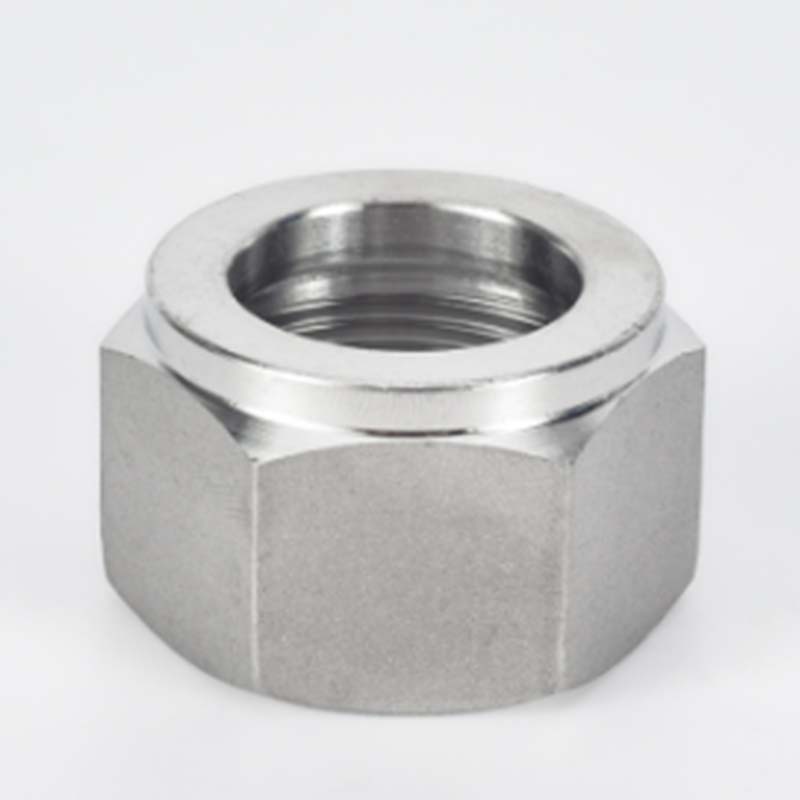 Automobile wheel panlabas na nut