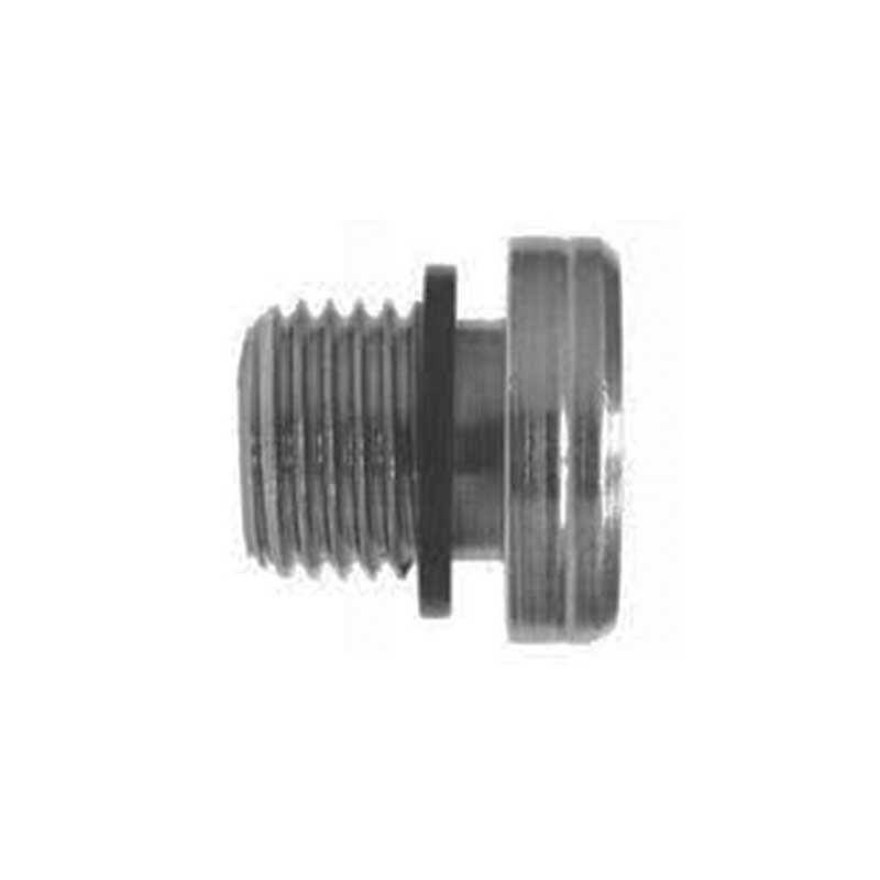 BSP Male Captive Hollow Hex Plug