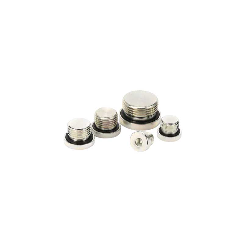 Panloob na Hex Plug ng BSP Male Captive Seal