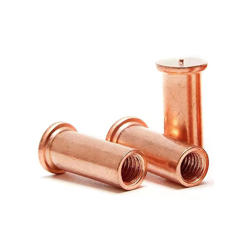 Ang kaagnasan ay lumalaban sa panloob na mga weld stud