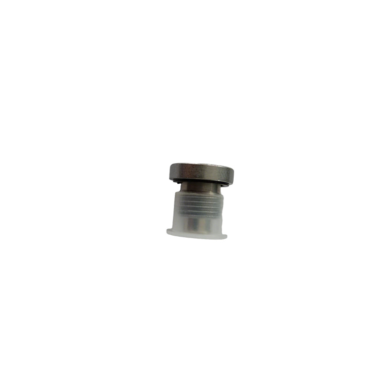 Countersunk Hollow Hex Plug na may Seal