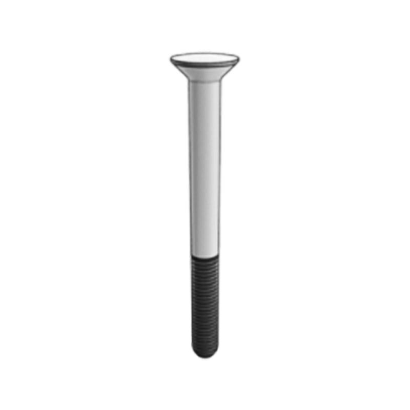 DIN529 Uri ng G Anchor Bolts