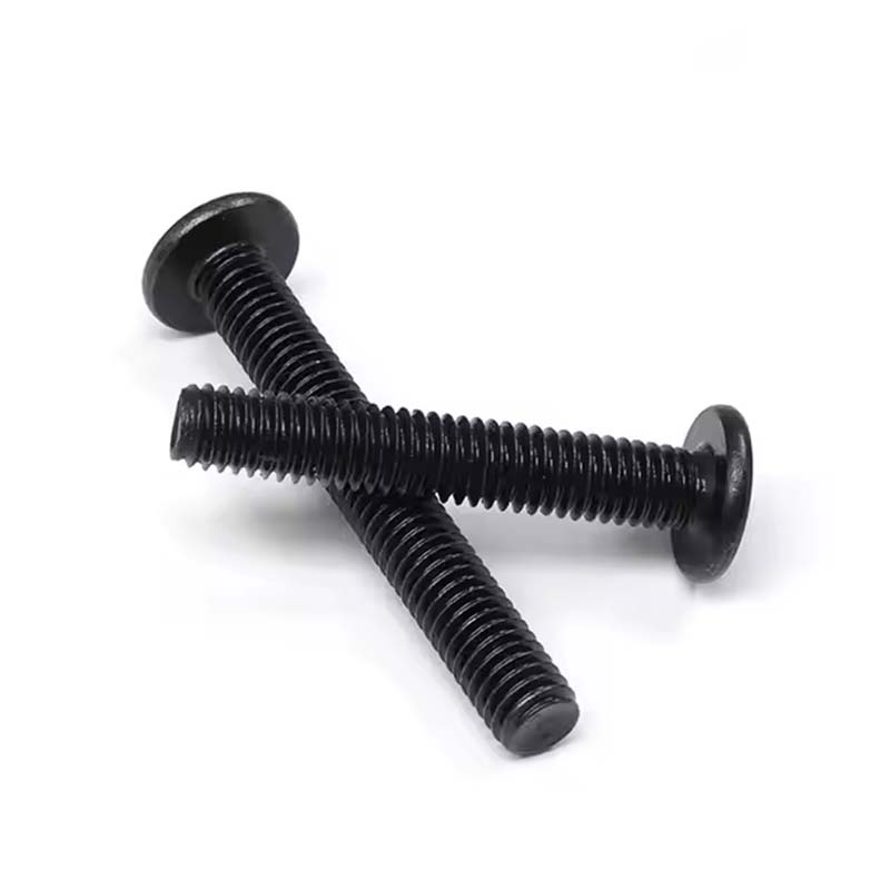 Hexagon socket flat round head screws