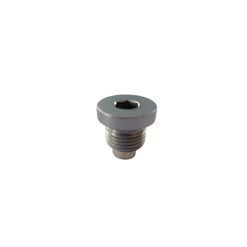 Hollow Hex Pipe Plug na may O-Ring