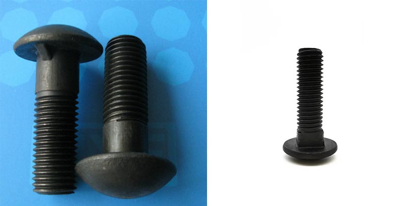 Carriage Bolts Screws