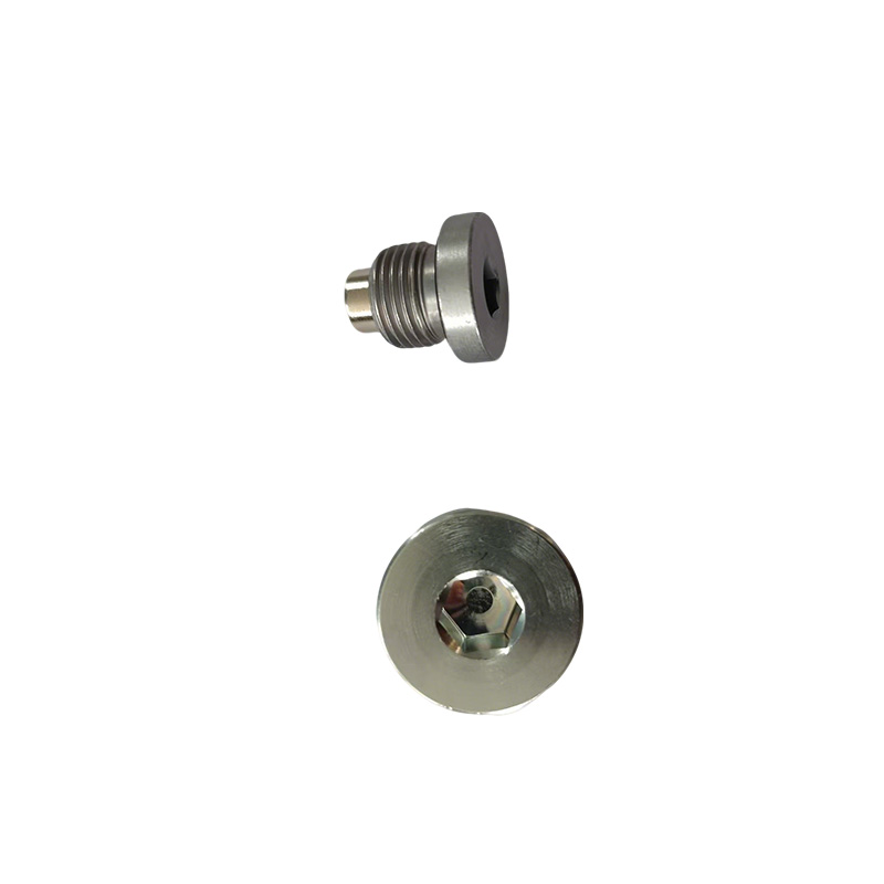 Hollow Hex O-Ring Steel Plug Hollow Hex O-Ring Steel Plug