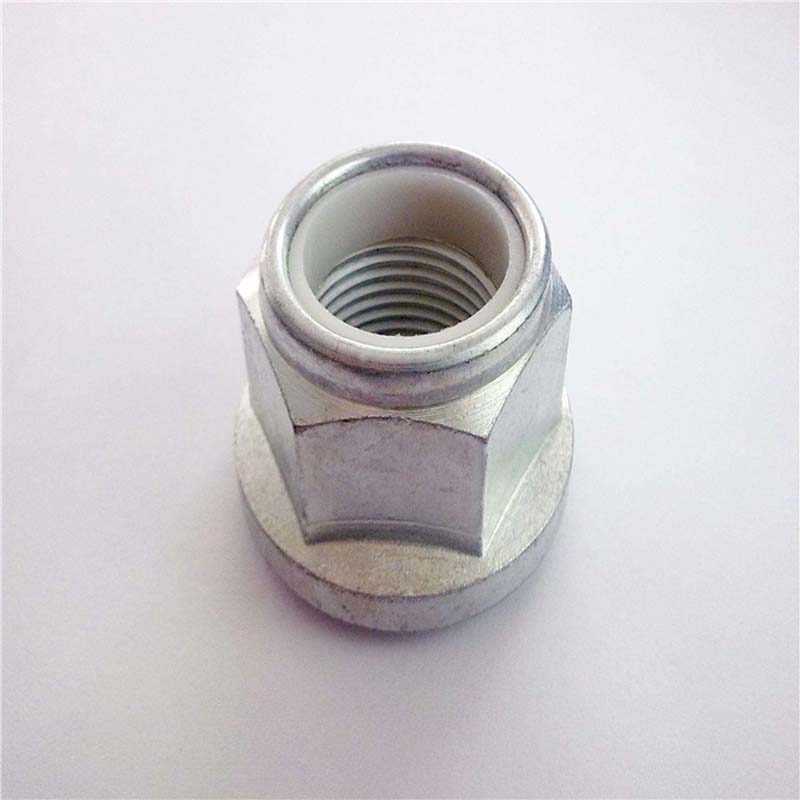 Nylon insert hexagon flange lock nut case