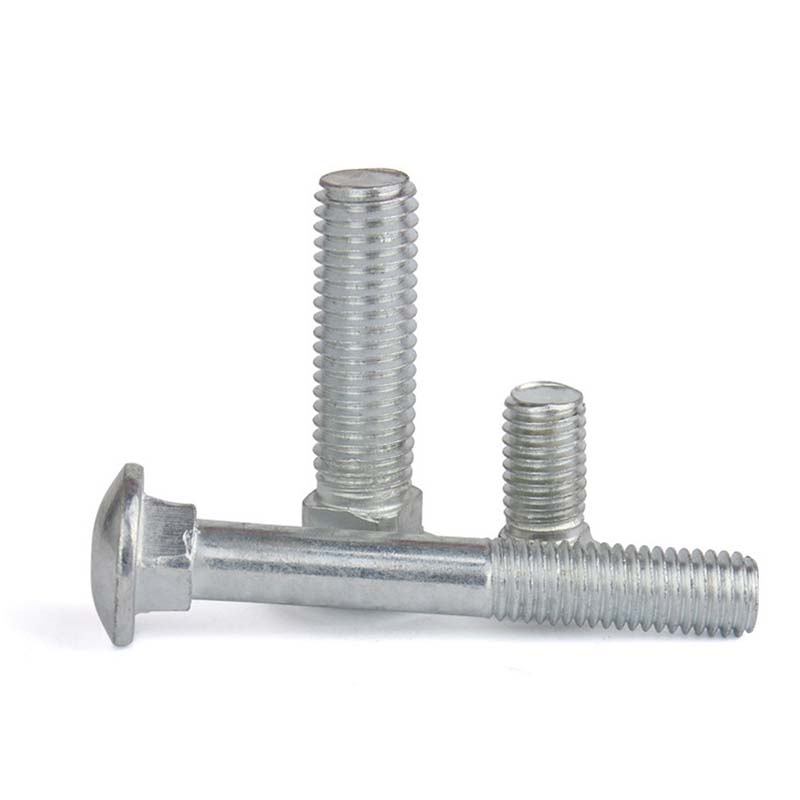 Round head solong tenon bolt