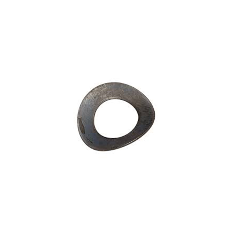Hindi kinakalawang na Steel Curved Spring Washer