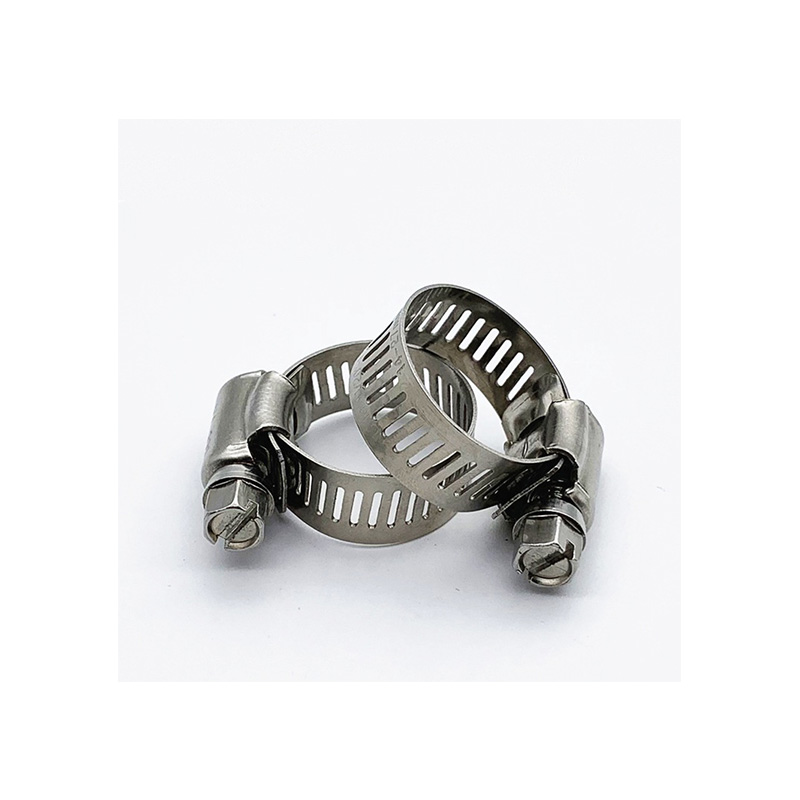 Worm driven hose hoop